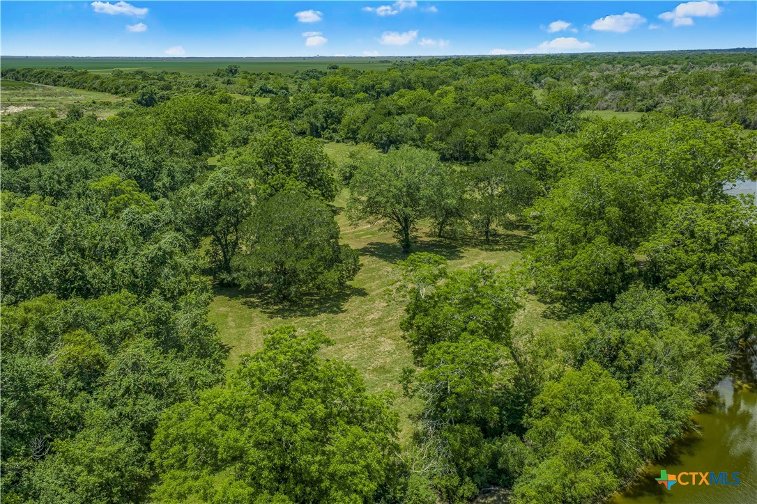 4516 Fm 1090 Property Photo 37