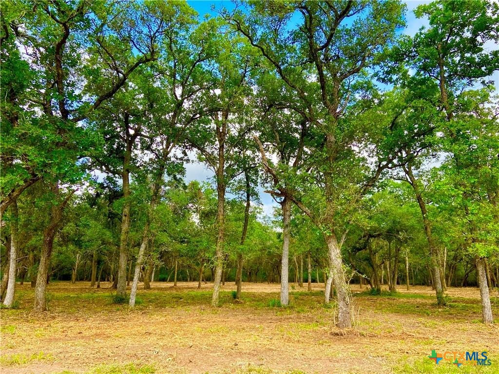 208 Post Oak Road Property Photo 2