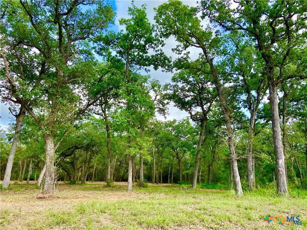 208 Post Oak Road Property Photo 3