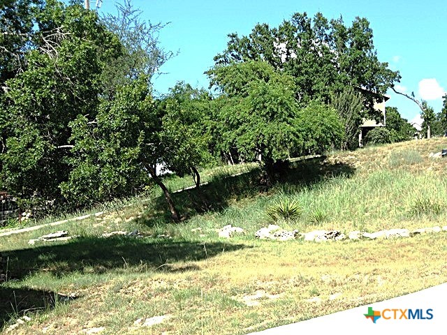 2552 Connie Drive Property Photo 32