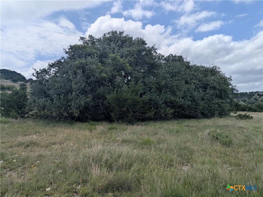 Lot 18 Tbd Cottonwood Mesa Drive Property Photo 8