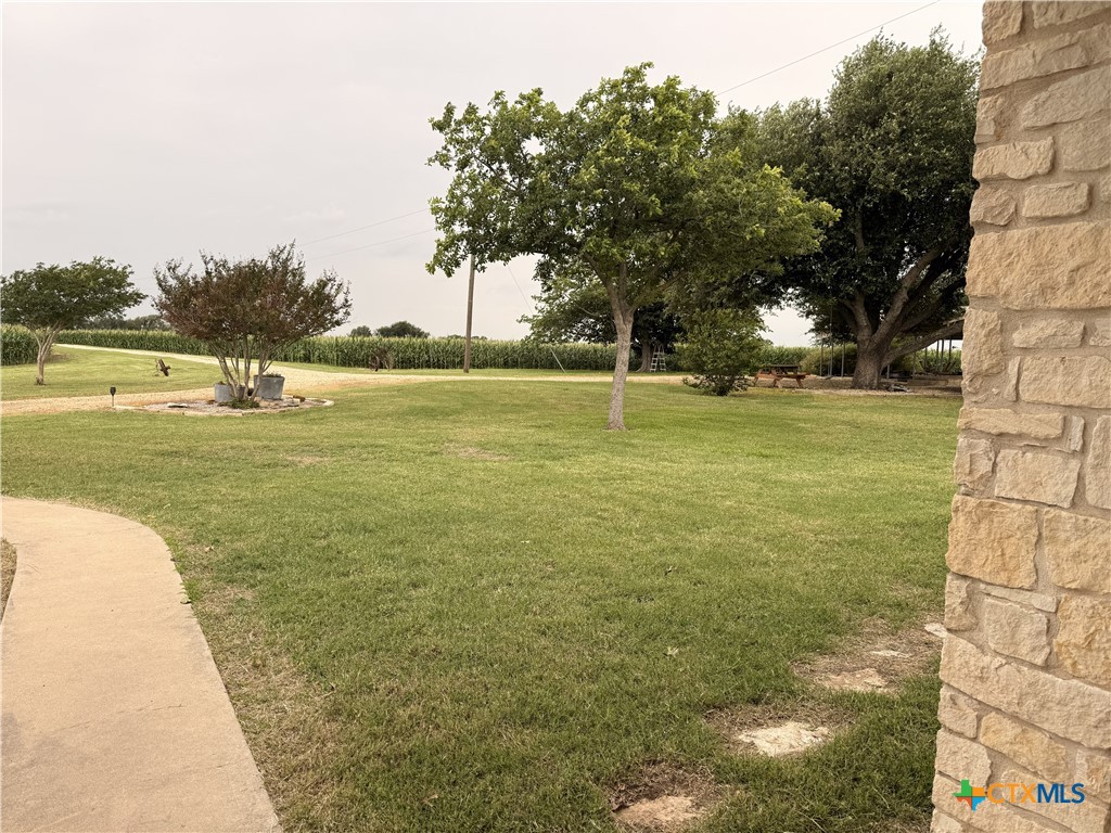 5600 Fm 1466 Property Photo 3