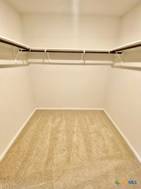 1733 James Street Property Photo 10