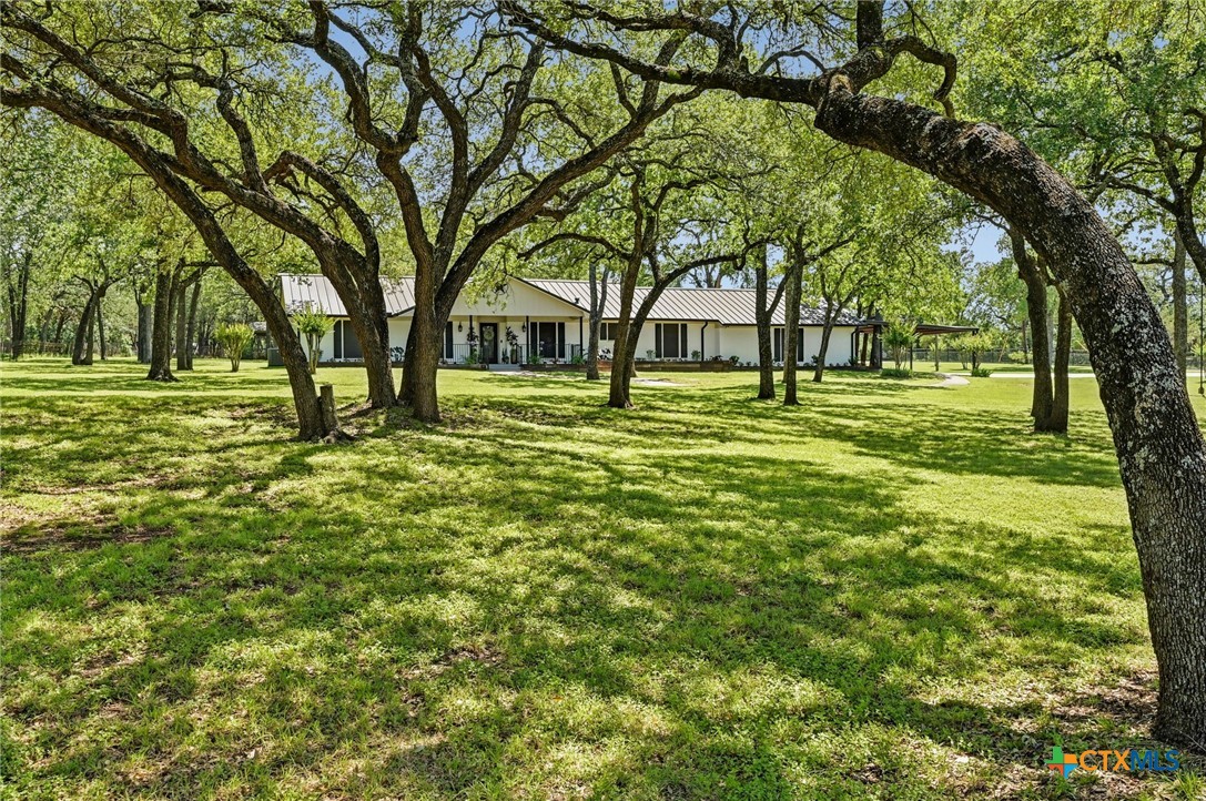 3441 Fm 439 Property Photo 5