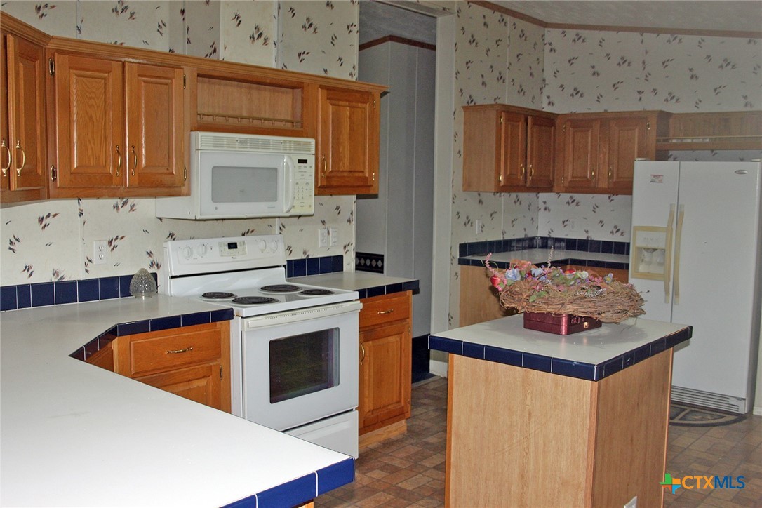 12000 Mustang Mesa Drive Property Photo 5