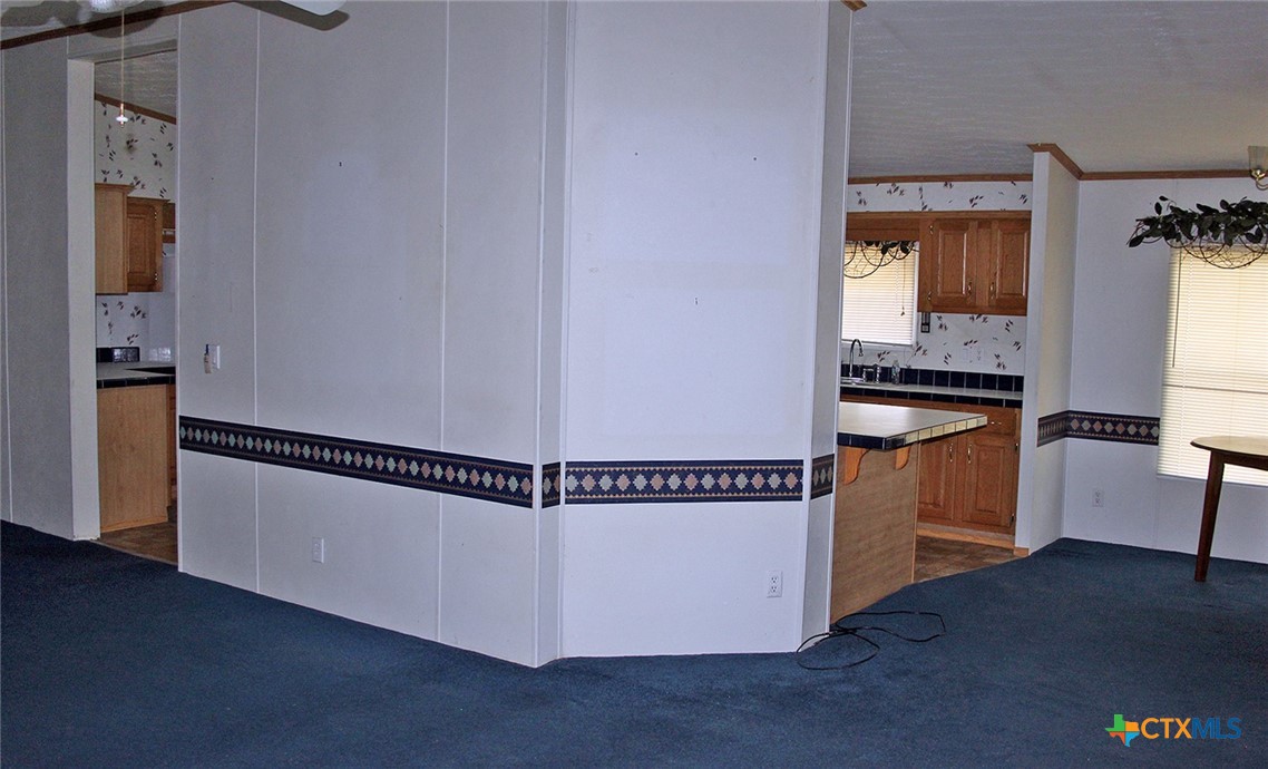 12000 Mustang Mesa Drive Property Photo 13