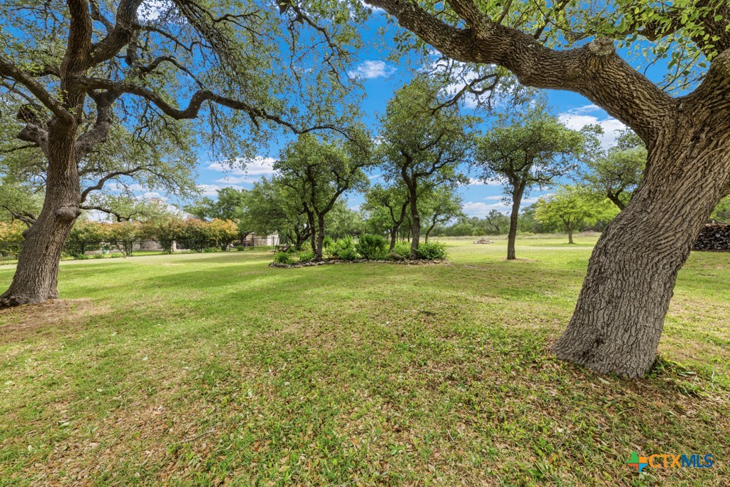 1511 Mount Bear Property Photo 25