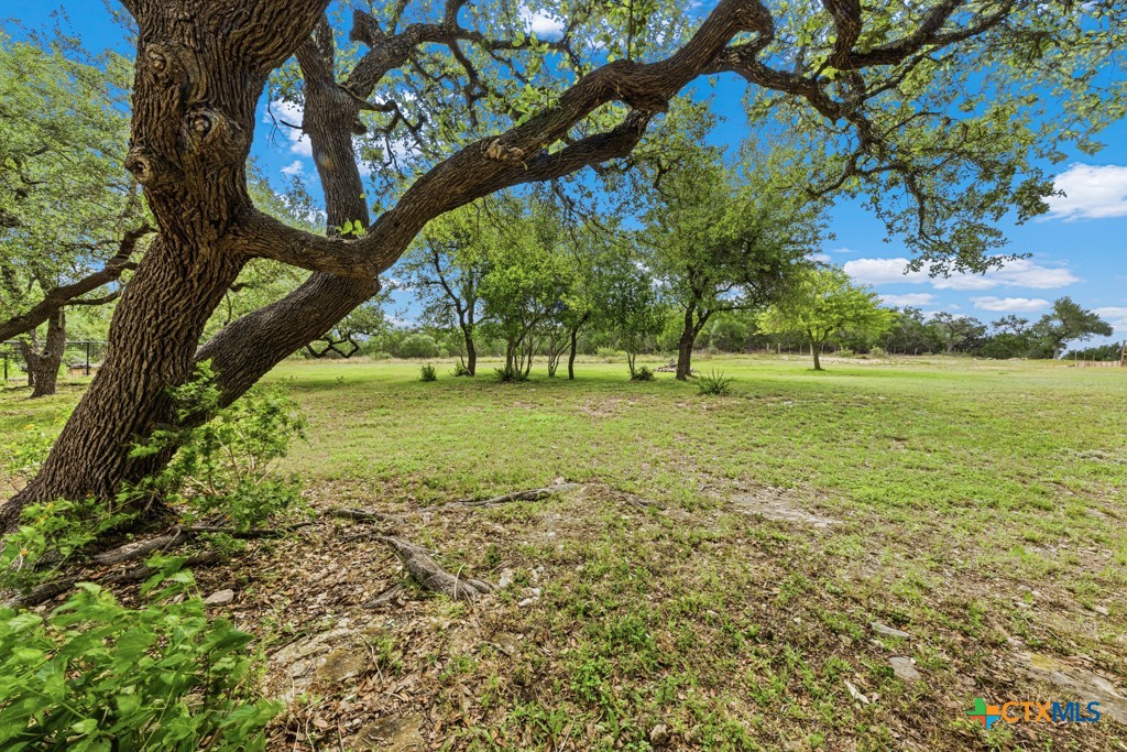 1511 Mount Bear Property Photo 27
