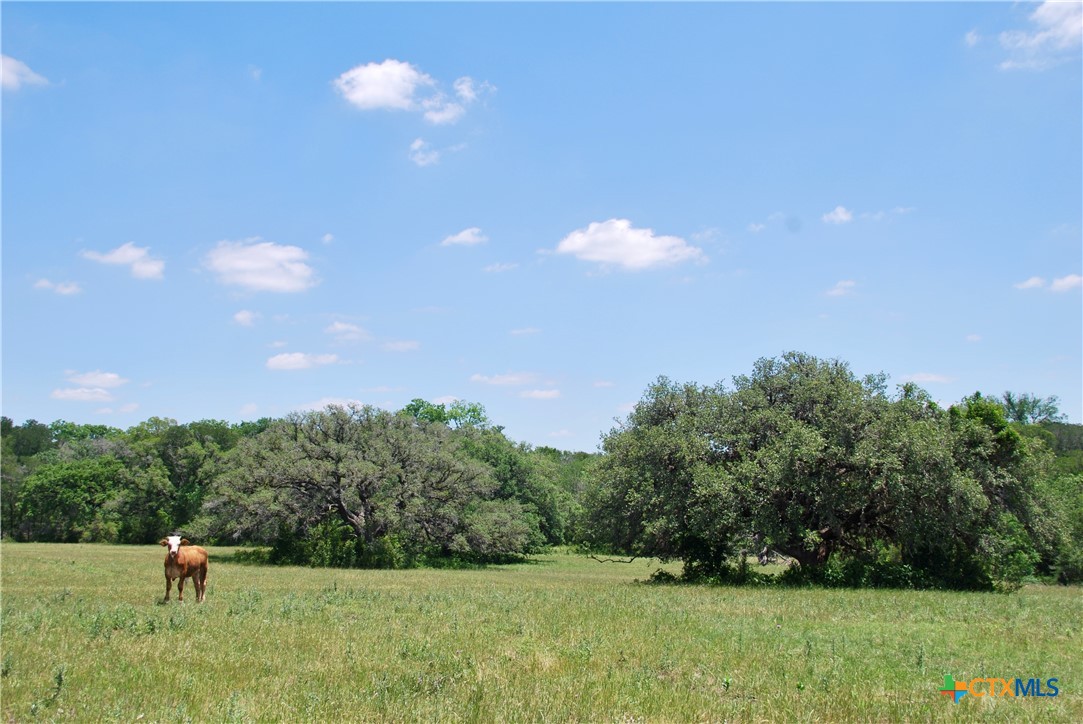 2116 Langdon Road Property Photo 4