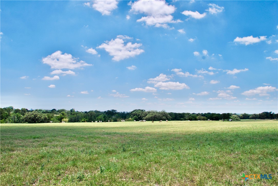 2116 Langdon Road Property Photo 6