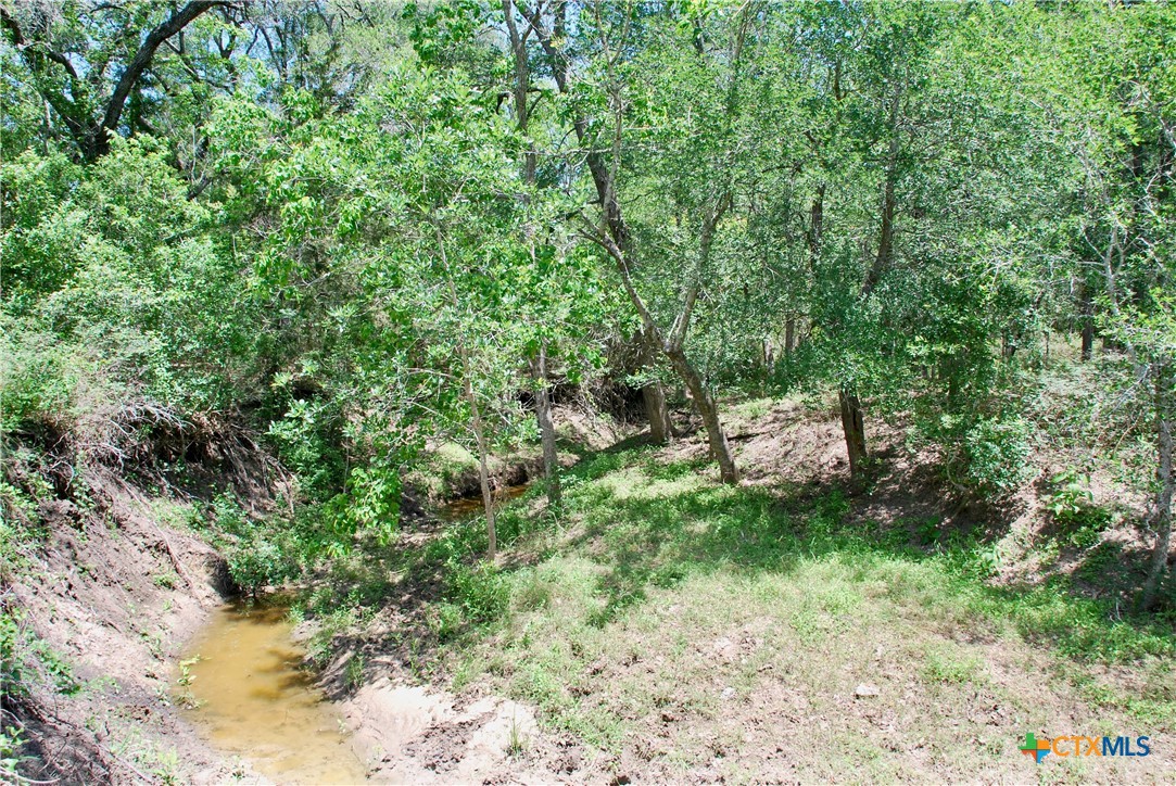 2116 Langdon Road Property Photo 14