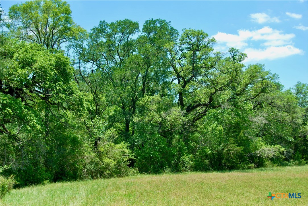 2116 Langdon Road Property Photo 16