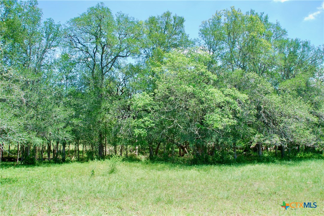 2116 Langdon Road Property Photo 21
