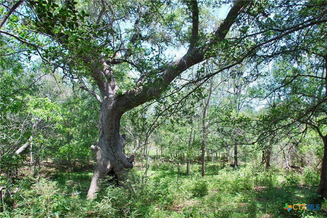 2116 Langdon Road Property Photo 22