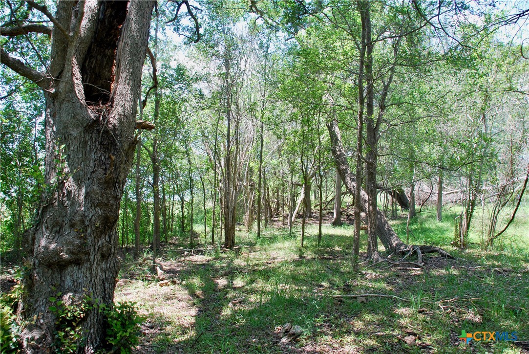 2116 Langdon Road Property Photo 24