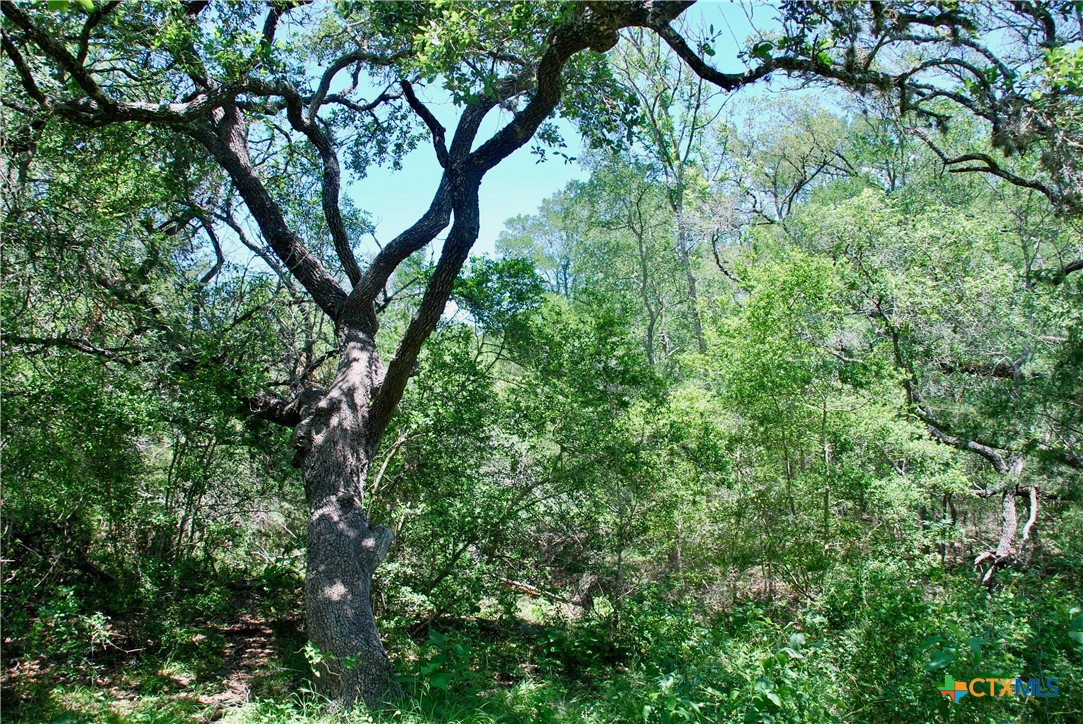 2116 Langdon Road Property Photo 33
