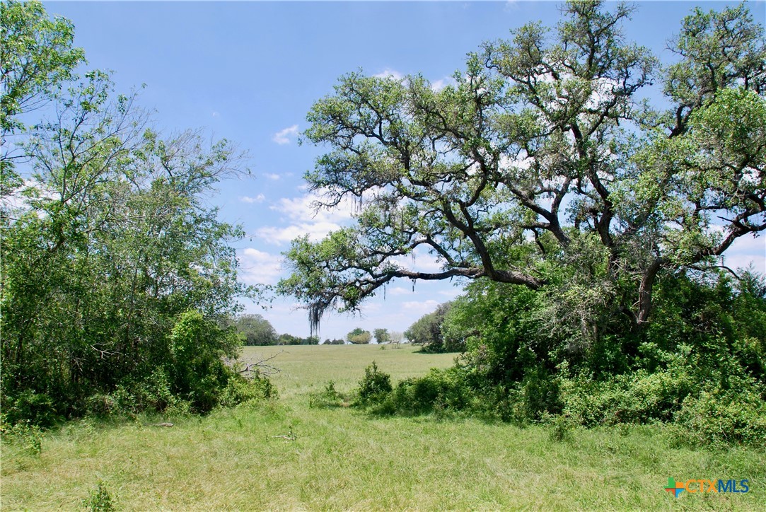2116 Langdon Road Property Photo 35