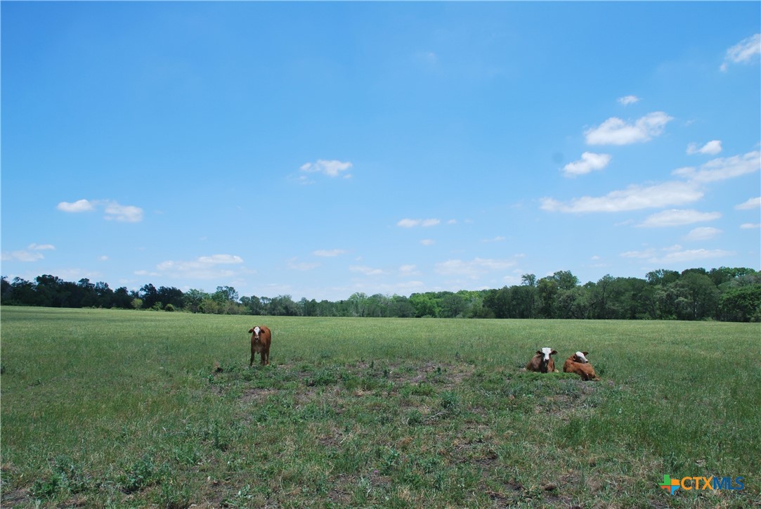 2116 Langdon Road Property Photo 42