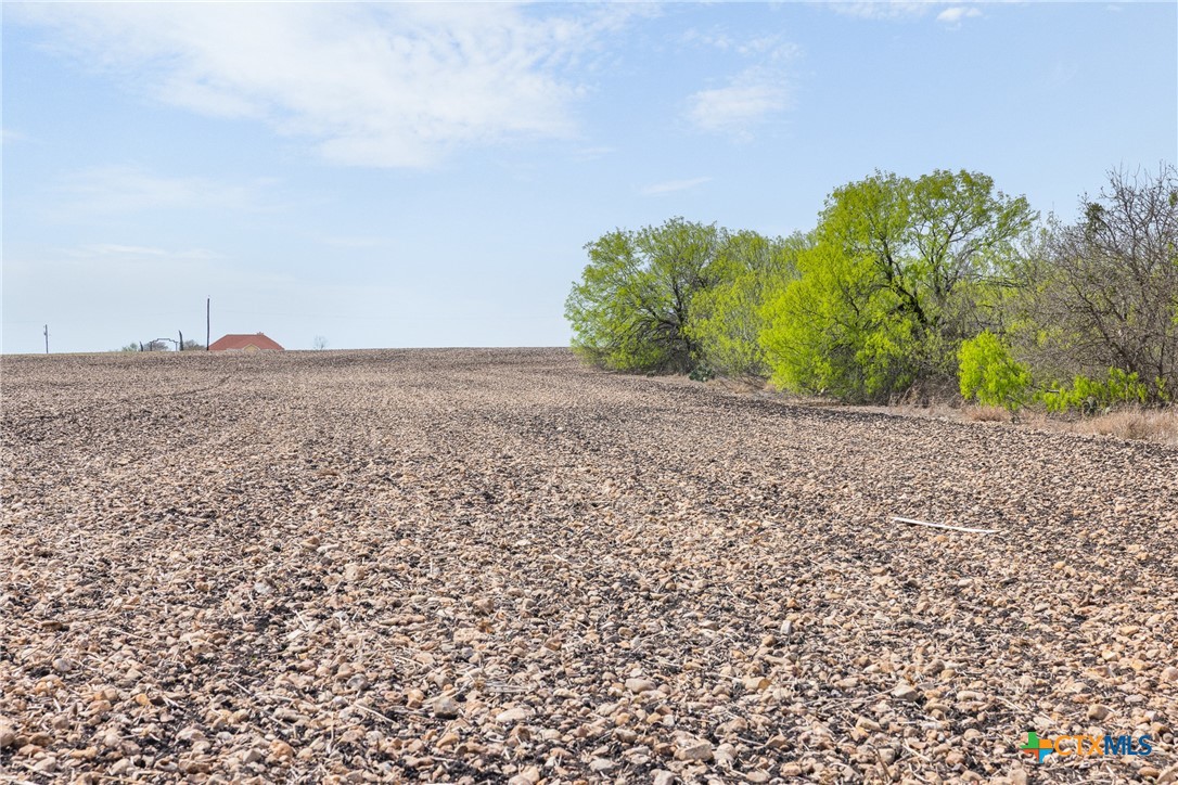 5340 Dreibrodt Property Photo 33