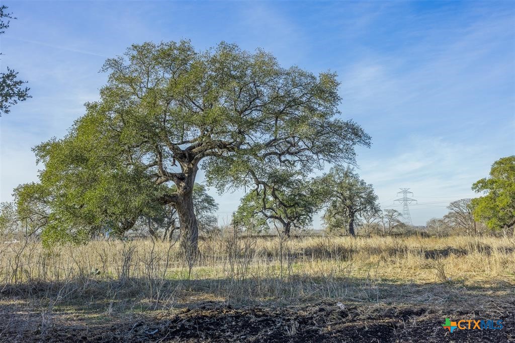 600 River Road Property Photo 10