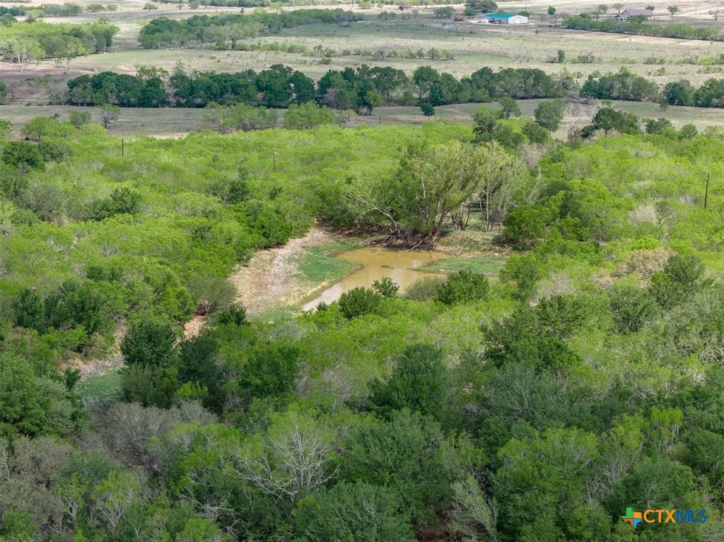 8519 State Park Road Property Photo 37