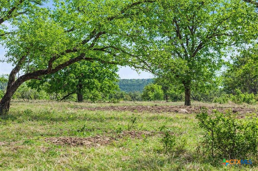 4772-10 County Road 340 Property Photo 2