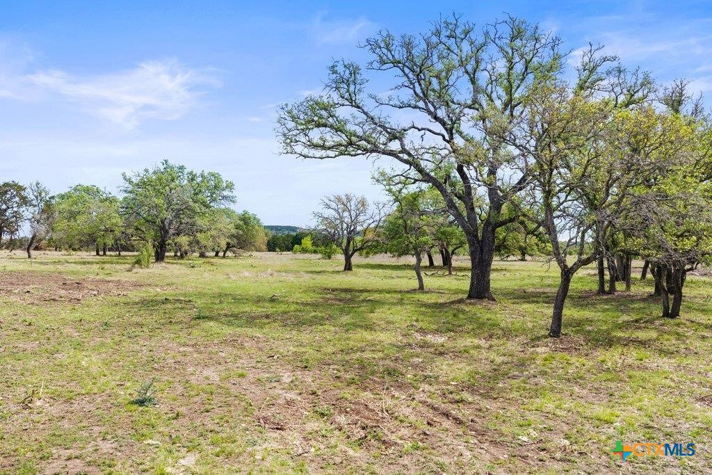 4772-10 County Road 340 Property Photo 6