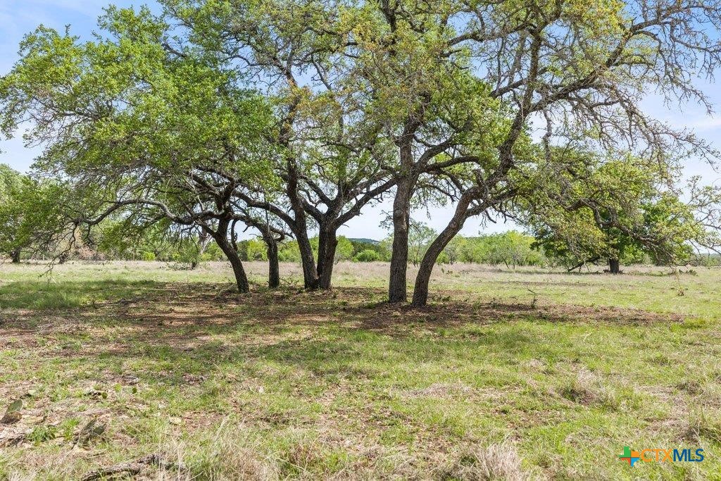 4772-10 County Road 340 Property Photo 12
