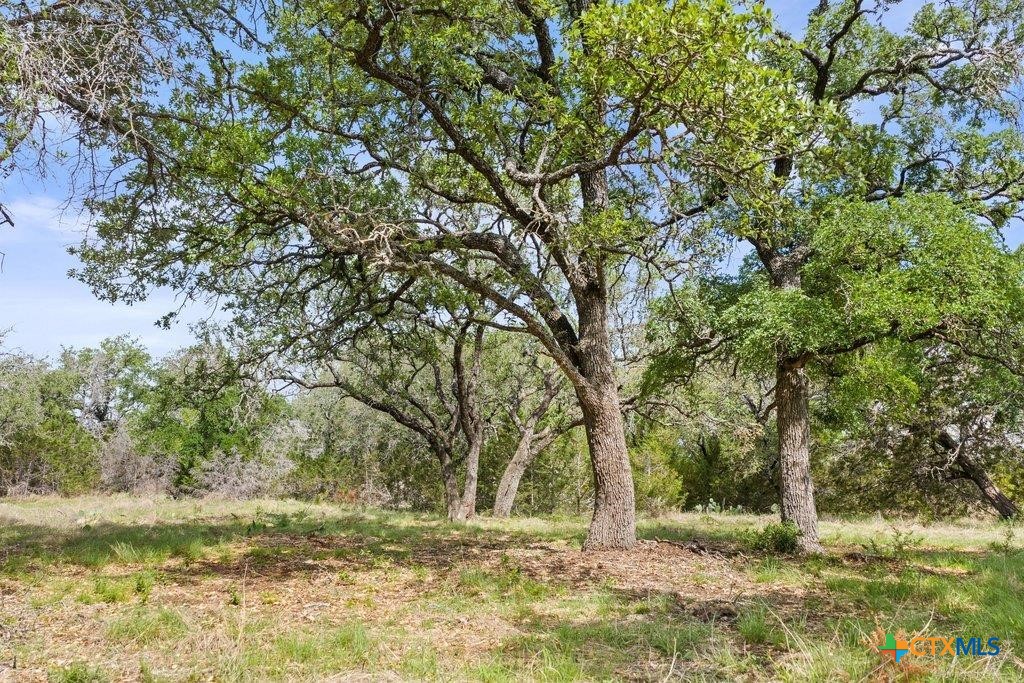 4772-10 County Road 340 Property Photo 16