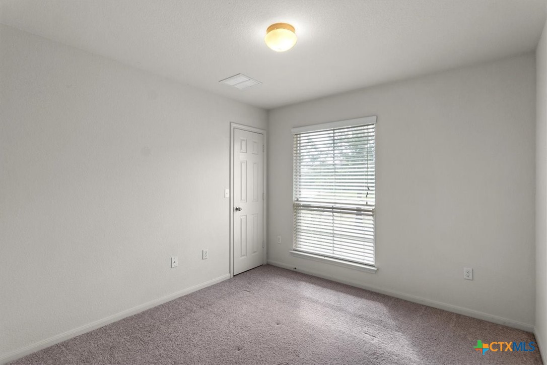 376 Musgrav Property Photo 16