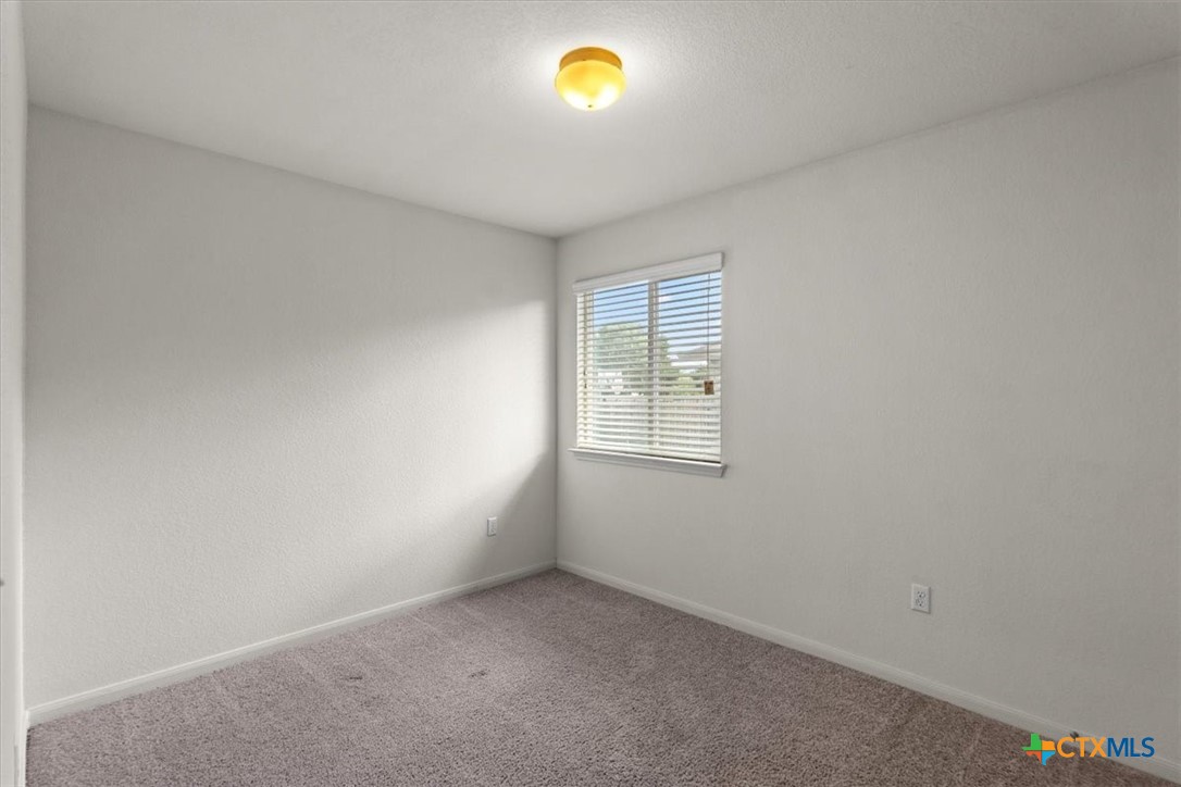 376 Musgrav Property Photo 17