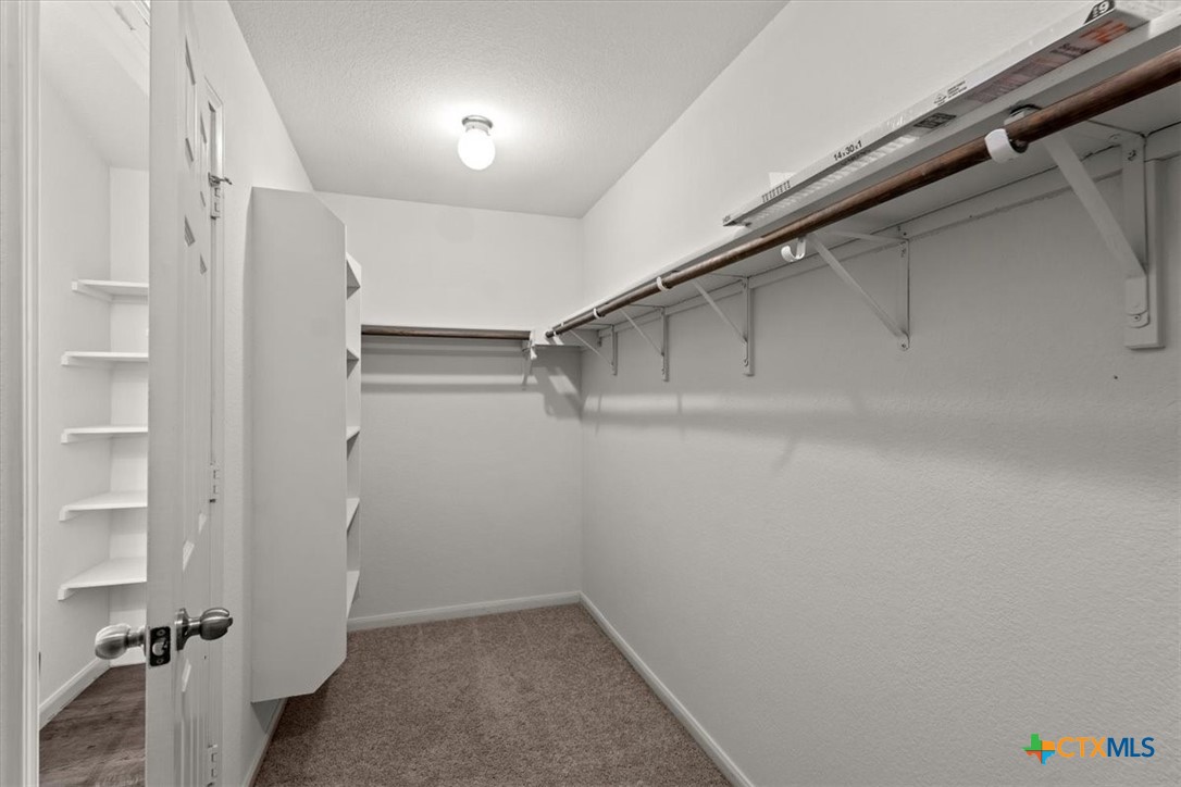 376 Musgrav Property Photo 22