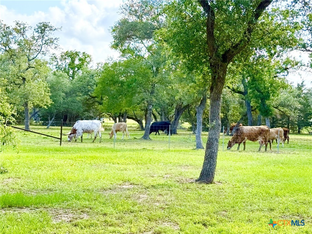 991 County Road 130 Property Photo 44