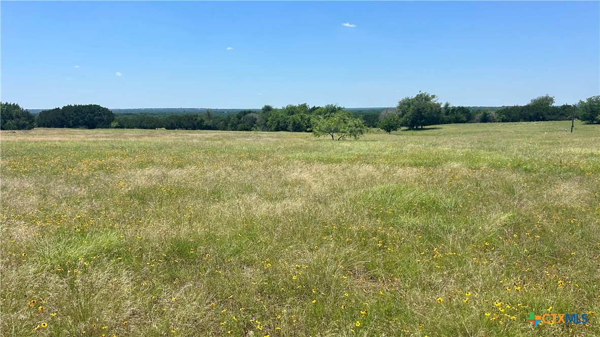 338 County Road 340 Property Photo 5