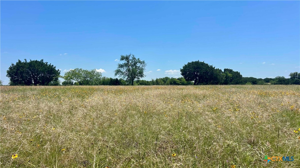 338 County Road 340 Property Photo 9
