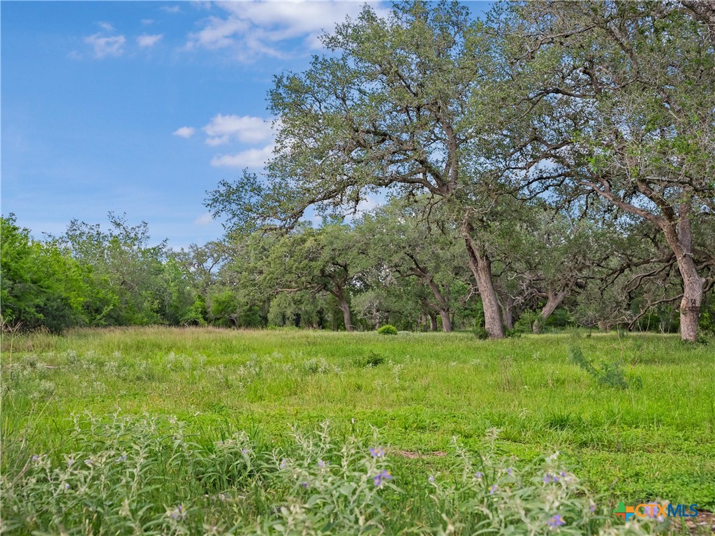 5394 Fm 237 Property Photo 1