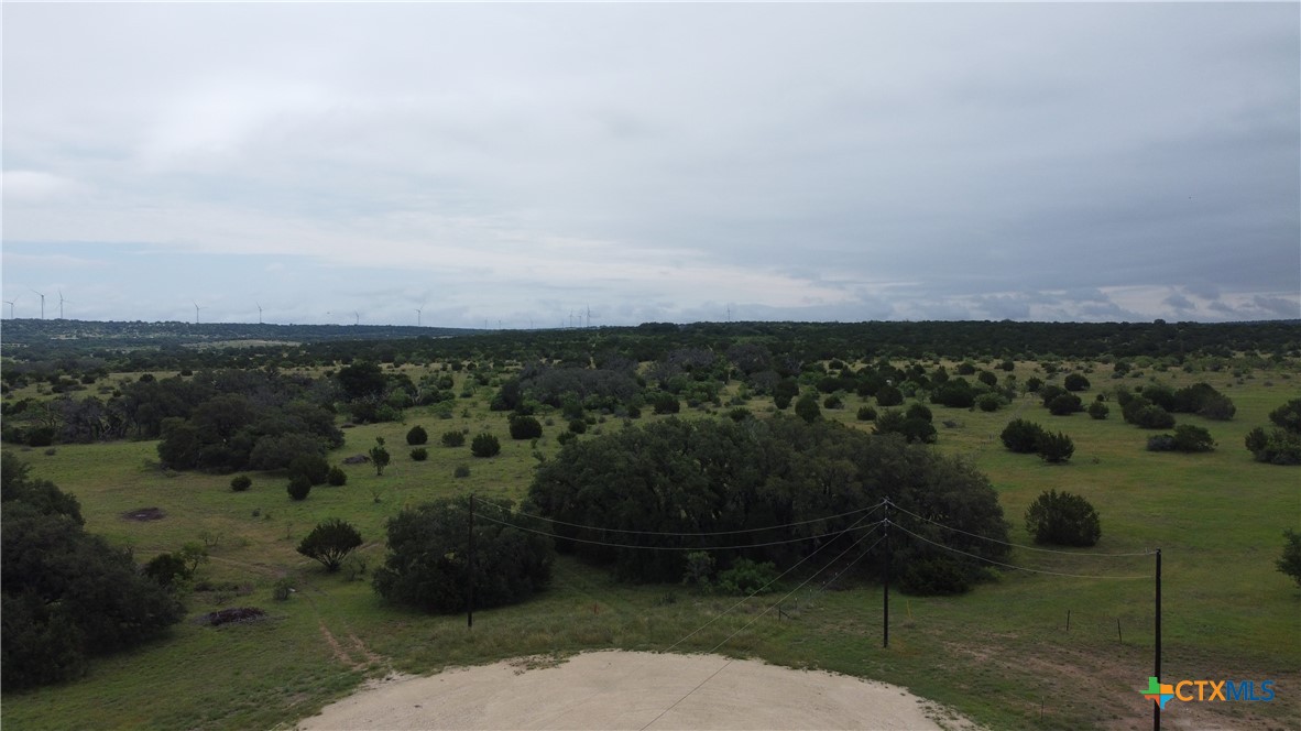 417 Blackjack Oak Drive