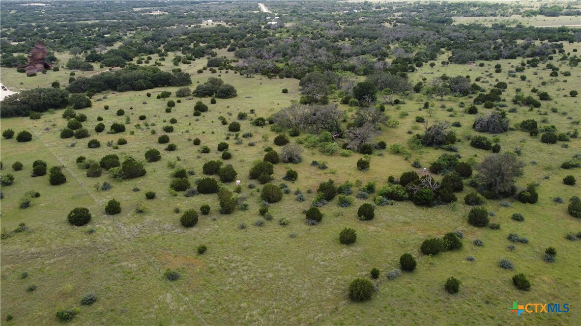 417 Blackjack Oak Drive Property Photo 4