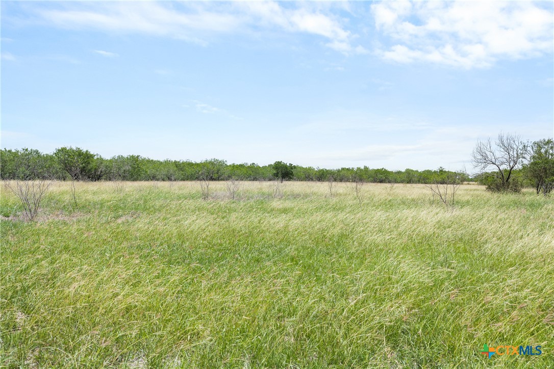 1190 Dickerson Road Property Photo 3