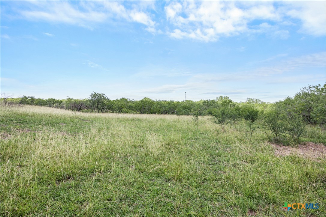 1190 Dickerson Road Property Photo 4