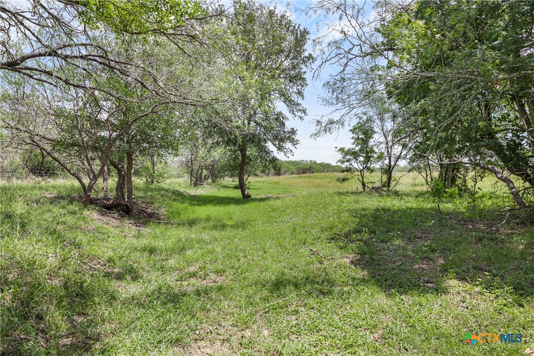 1190 Dickerson Road Property Photo 5