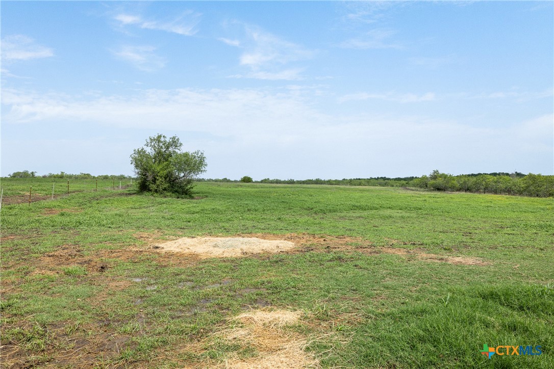 1190 Dickerson Road Property Photo 12