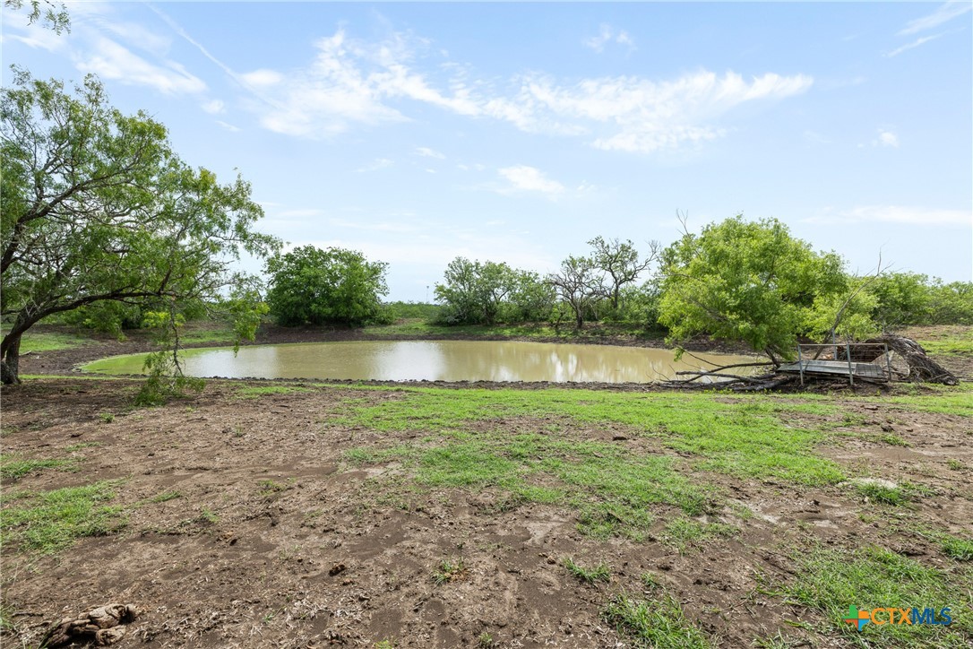 1190 Dickerson Road Property Photo 13
