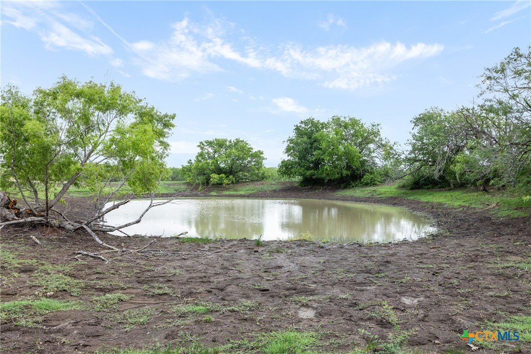 1190 Dickerson Road Property Photo 14