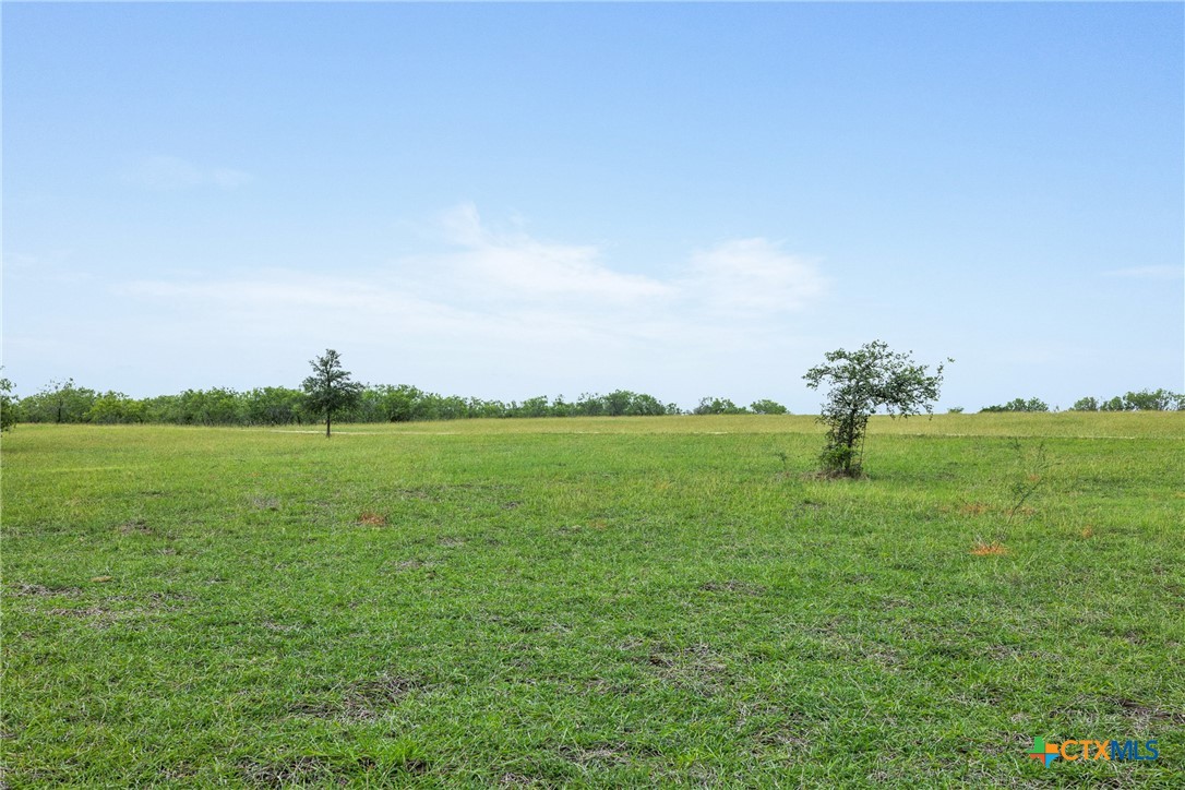 1190 Dickerson Road Property Photo 18
