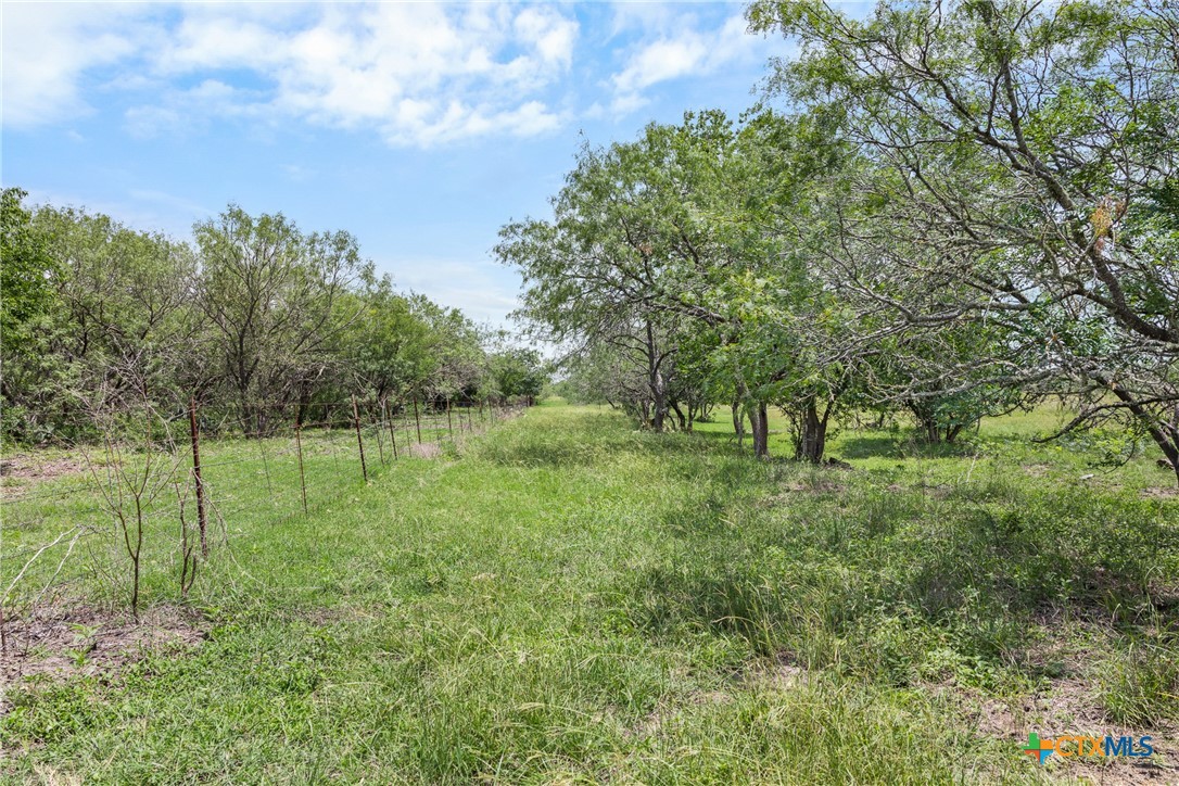 1190 Dickerson Road Property Photo 30