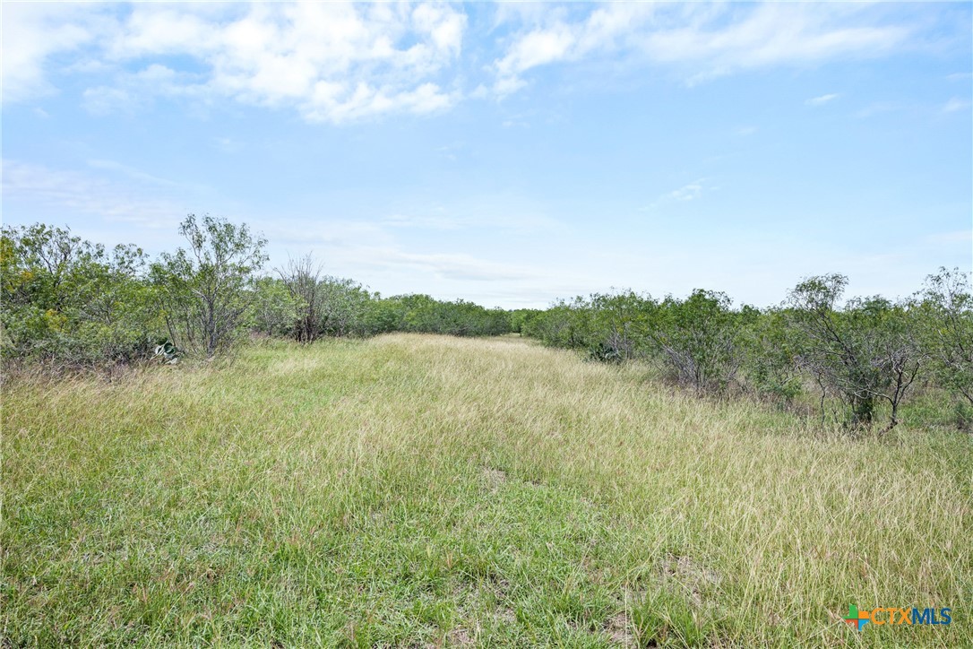 1190 Dickerson Road Property Photo 31