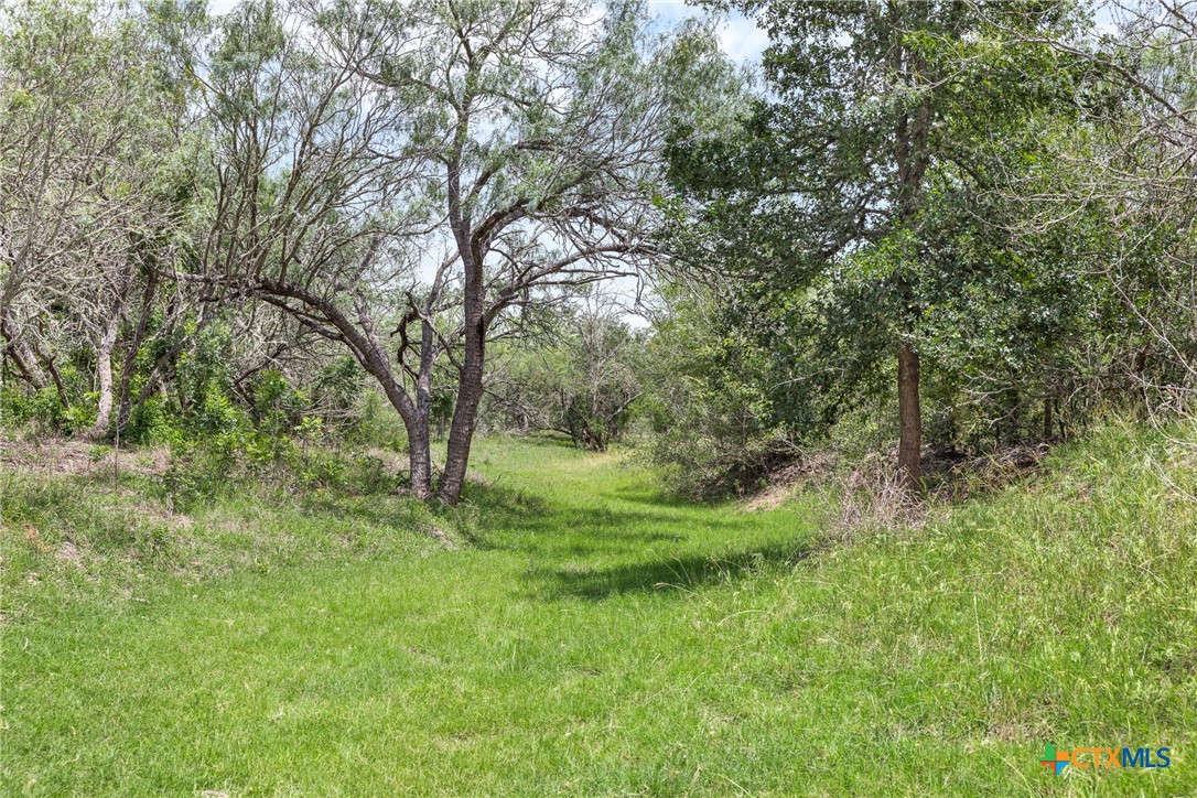1190 Dickerson Road Property Photo 33