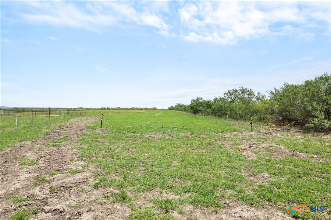 1190 Dickerson Road Property Photo 34