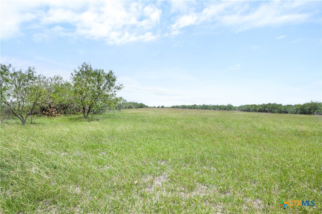 1190 Dickerson Road Property Photo 36